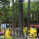 하하푸드트럭 | 2026 서울숲 국제정원박람회 포켓몬포레스트 예약방법 푸드트럭 총정리