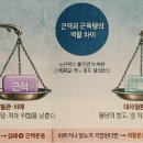 근력과근육량의 역할차이 이미지