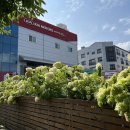 기아오토큐 용화점 이미지