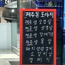돈도야지 이미지