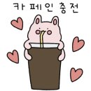 카페앤씨