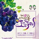 안성서운포도 이미지