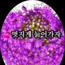 입춘방담 이미지