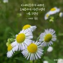 자세히 보아야 예쁘다 이미지