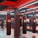 킹스복싱 이미지