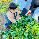 무랑농장 이미지