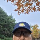 생활일기(~1031) 이미지