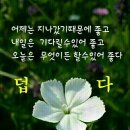 스무하루