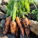 올인핏 2호점 이미지