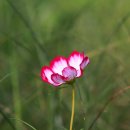 억새어린이공원 이미지