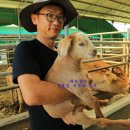 옥산리목장 | 용인관광 자연체험농장 힐링캠프 한우랜드 / 용인여행