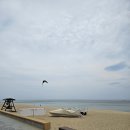 안목해변 | 강릉 안목해변 오션뷰 카페 보사노바 커피로스터스 후기