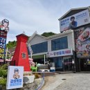 서민회도매 | 성게알밥부터 물회까지! 자연산 해산물 맛집 강성횟집 후기