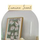 루미니센트(Lumine Scent)