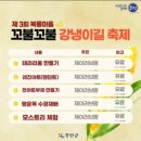 무안여행 복룡마을 꼬불꼬불 강냉이길 행사후기