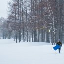 홋카이도 이미지