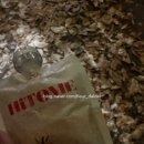 (주)이온팜 | 하이토미 방울토마토 제로 칼로리 이온음료로 수분 보충하기