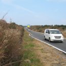 태흥목장 이미지