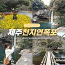 천지연산책로(폭포안) | 제주 천지연폭포 주차 입장료 서귀포시 가볼만한곳 제주도 폭포
