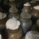 고향뜰 농장 이미지