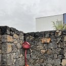 고븐달 제주 이미지