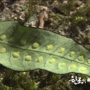 부여테마여행 이미지