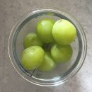 봄치과기공소 | 내 가을 돌려줘요;