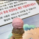 유성토박이 이미지