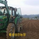 성진농장 이미지