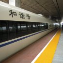 G1037 이미지