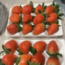 아들은 엄마의 나이를 모른다 | 딸 임신 증상 vs 아들 임신 증상 차이 | 둘 다 겪어본 솔직 비교