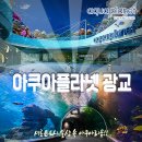 아쿠아플라넷 광교 이미지