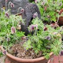 목란농장 이미지