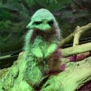 마북초교 건너편(이마트24편의점) | 경주 동물맛집, 보문단지 주렁주렁 경주점 평일 방문 후기(모든 동물 사진 찍음)