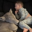 송아지집 이미지