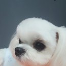 개미남 이미지
