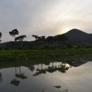 영광방아 이미지