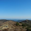 전국민박 이미지