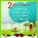 개팔자 상팔자 이미지