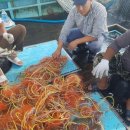 수산1구 이미지