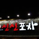 신신포차 - 여주시 | 신신포차