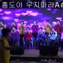 금호읍사무소 Daum카페