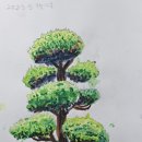 도규미술학원