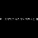 언제나 여름