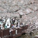 진해구 ⓒ-24 이미지