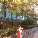 삼양탕 - 강북구 덕릉로8길 6 | 삼양탕