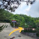 목상동 솔밭길 이미지