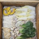 동하환경 | 편편집 목동사거리점 편백찜 월남쌈 샤브샤브 무한리필 맛집 아기랑 방문 후기