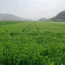 남미륵사안내소 이미지