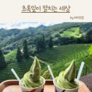 초록맘세상 이미지
